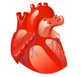 Ischaemic-heart- disease-rel-art-opt